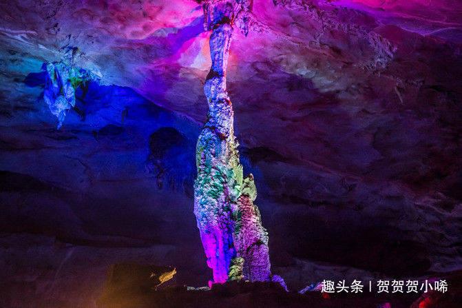 过了“腊八”就是年,老北市“哇”声一片,凤凰竟然变多了?