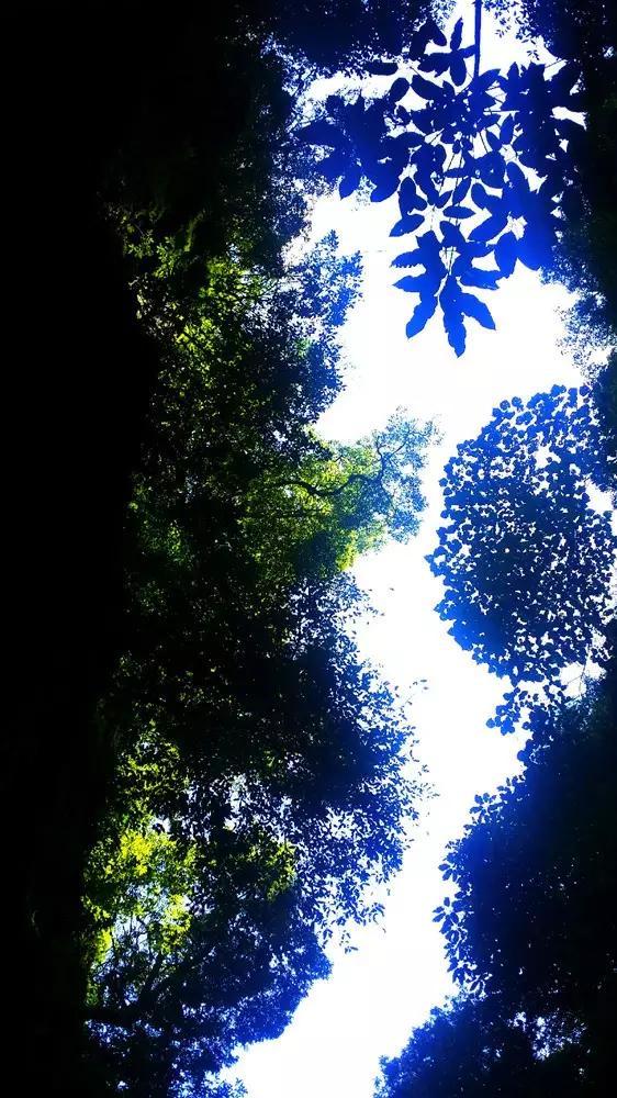 夏之许诺