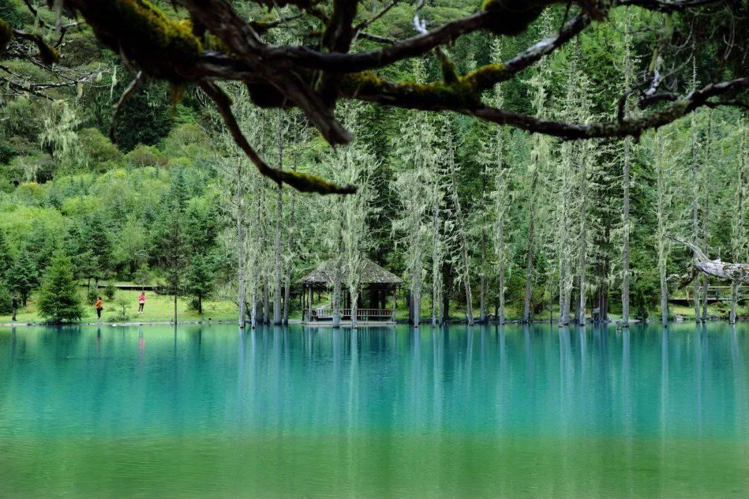 缤纷水果茶