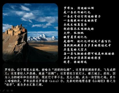 逃离森林边缘