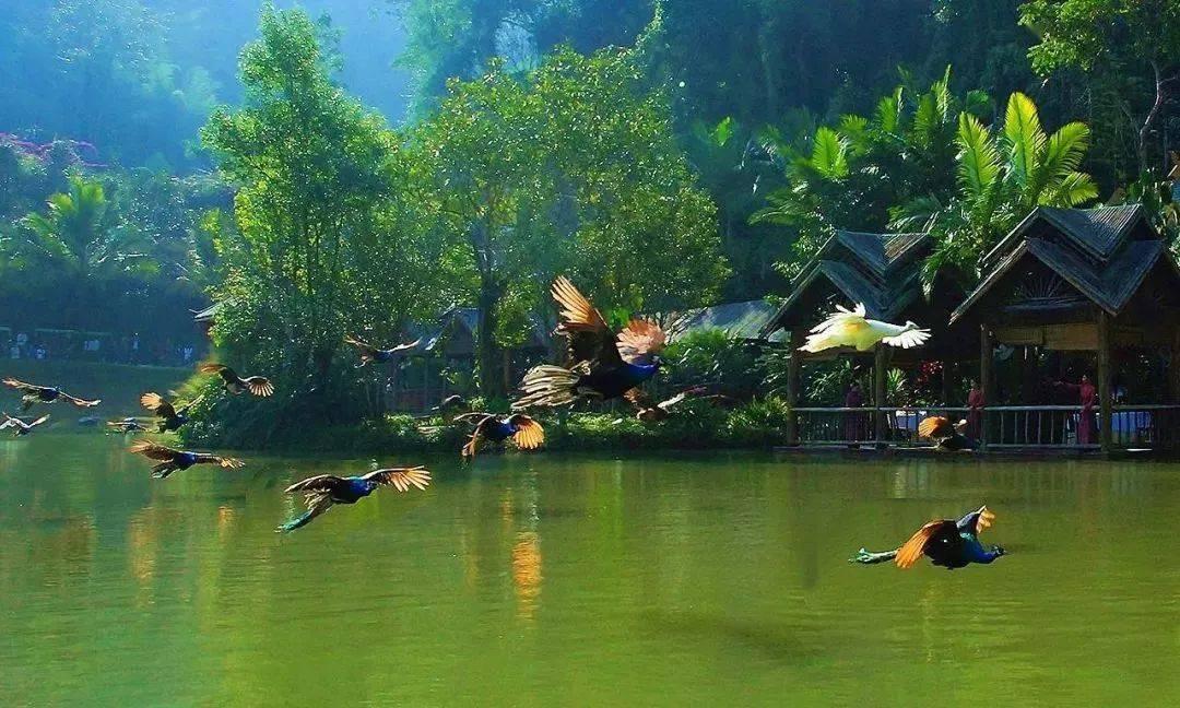 女人说还行吧，怎样回复比较好？
