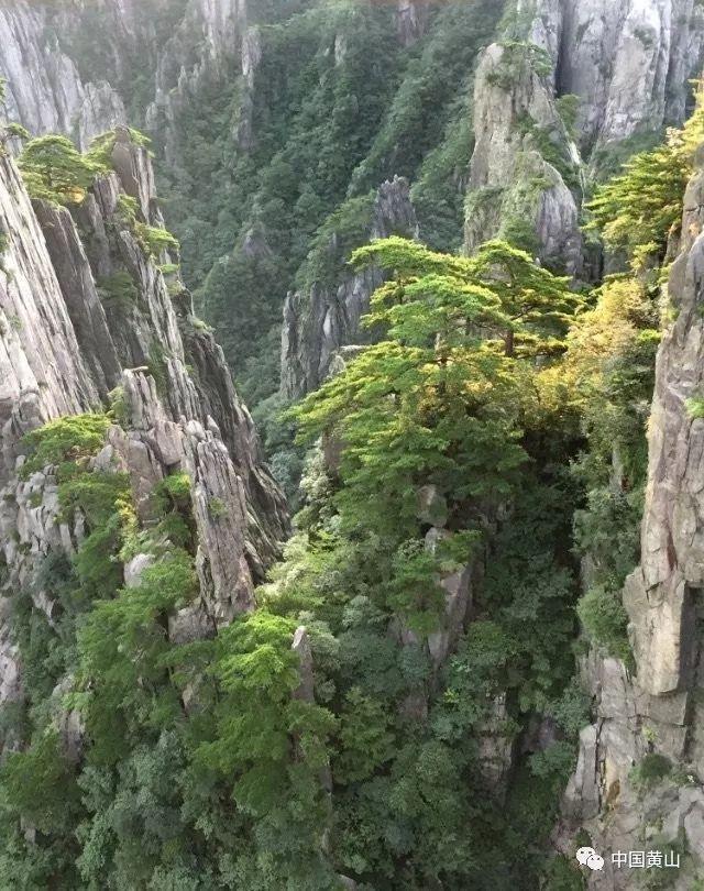 全民烧脑3去广告版