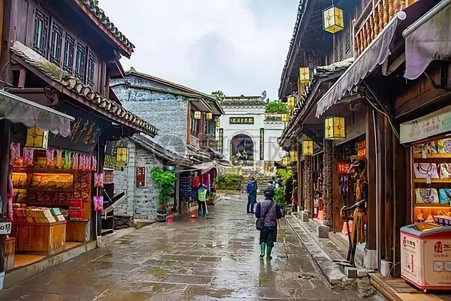 动物帮帮忙保卫家园