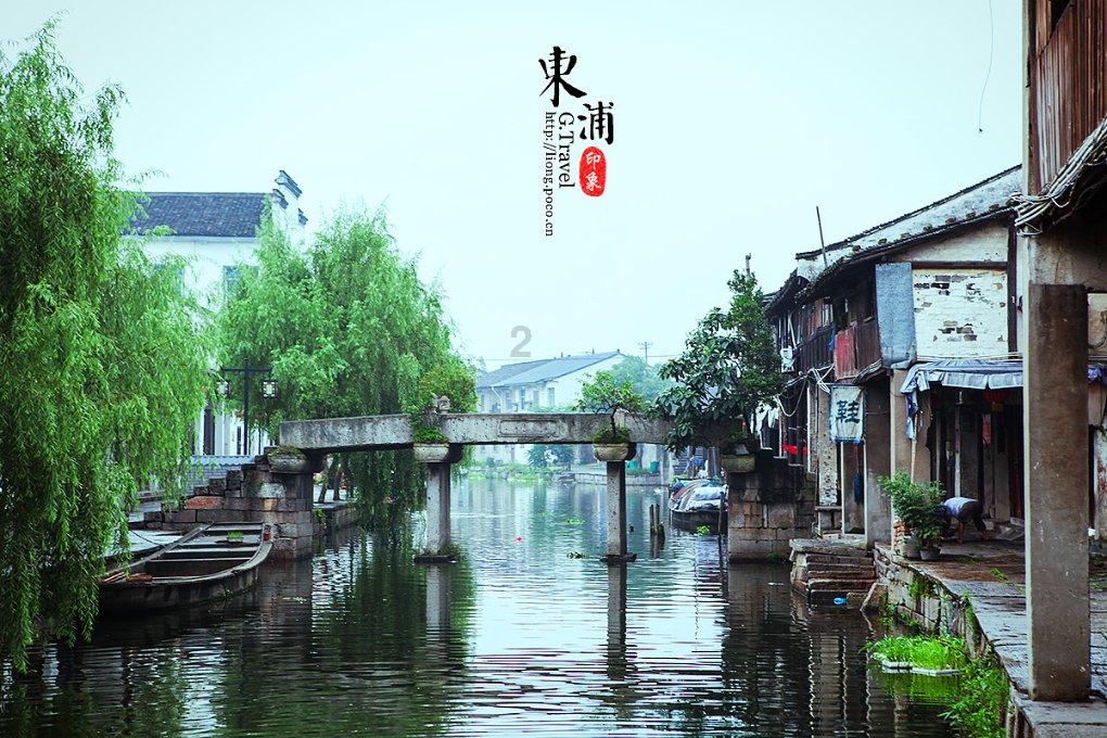 唱响绿色发展的“黄河大合唱”——潼关县以加快“创森”为抓手推动高质量发展