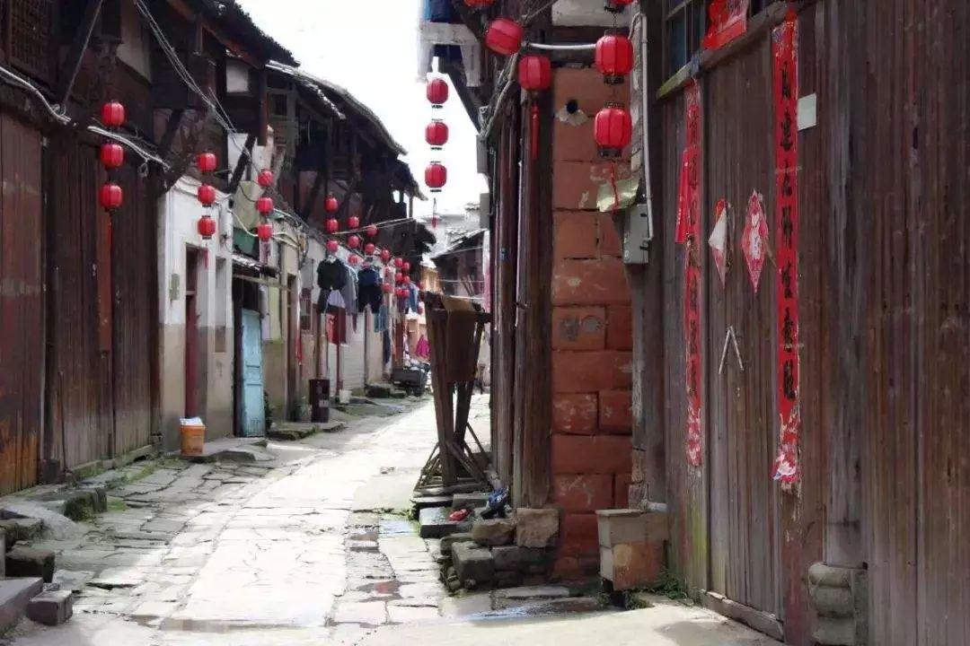 植物大战僵尸10
