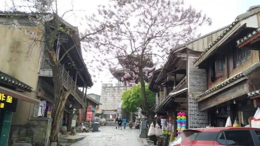 小乌龟逃亡记